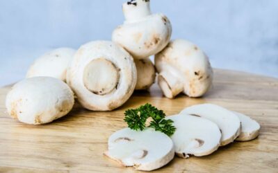 Les différents types de champignons disponibles en automne et des recettes pour les préparer