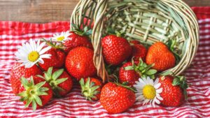 fraise