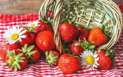 Comment cuisiner les fraises de saison dans des desserts frais et colorés