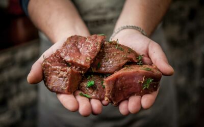 Les différents types de viande de gibier disponibles en hiver et des recettes pour les préparer