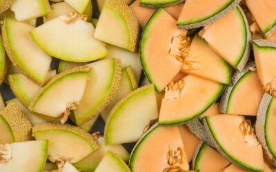 Les différents types de melons de saison et des recettes pour profiter de ces fruits sucrés et juteux