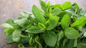 herbes fraiches