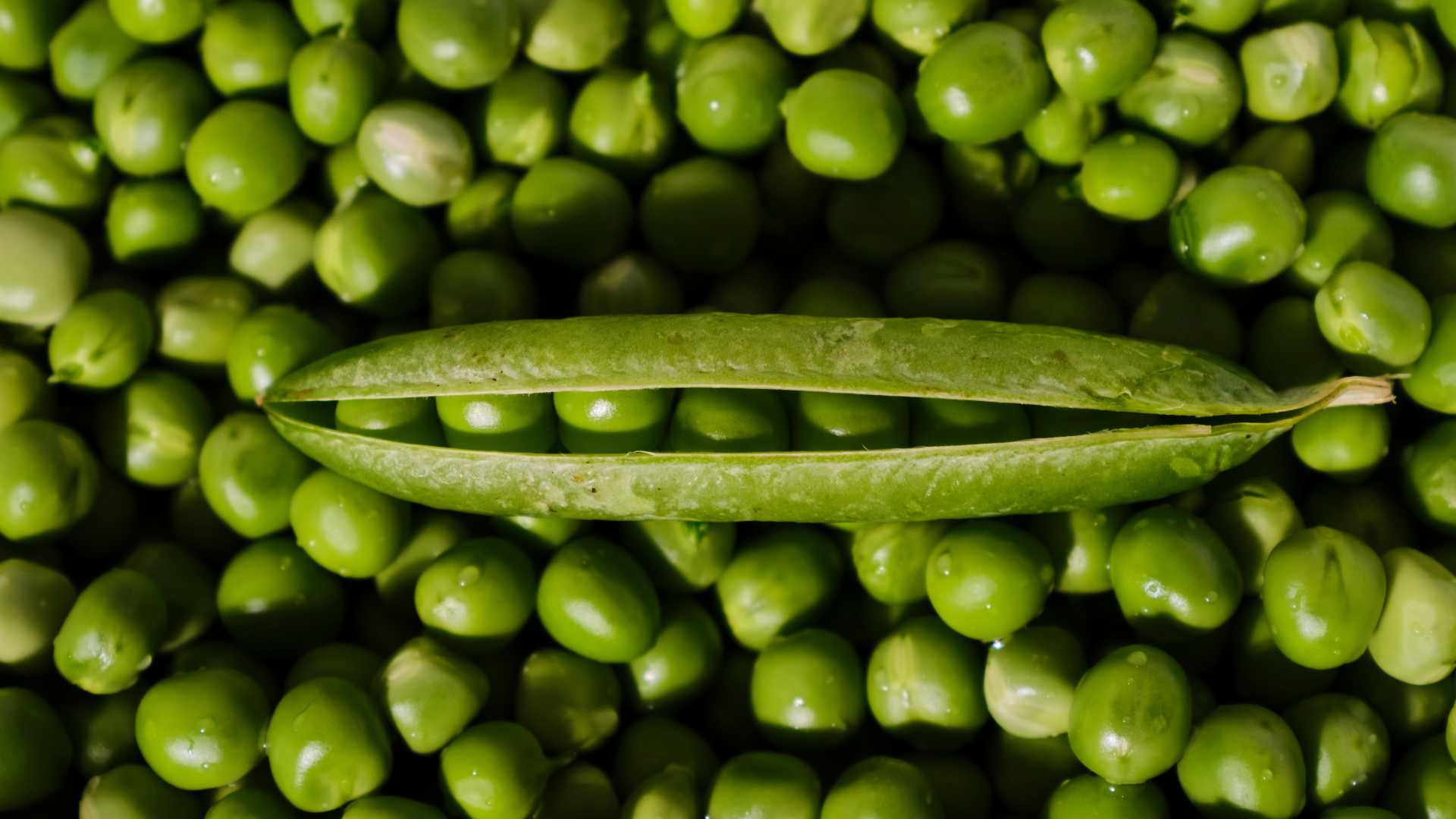 Comment cuisiner les légumes verts printaniers comme les haricots verts et les petits pois
