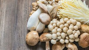 champignons automne