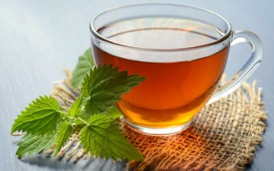 Les bienfaits du thé chaud pour la santé et des idées pour préparer une variété de thés aux épices en hiver