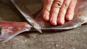 Poisson