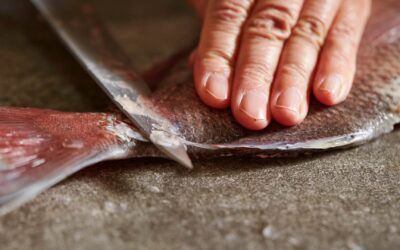 Apprendre à fileter un poisson : conseils et astuces
